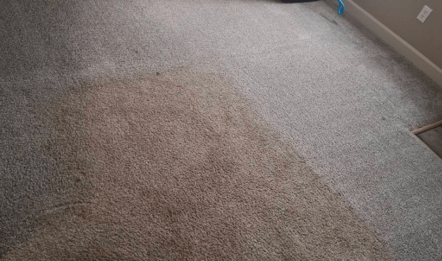 CARPET CLEANING